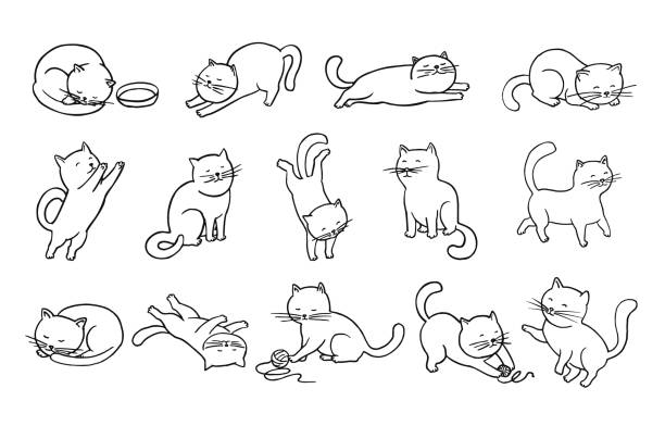 bildbanksillustrationer, clip art samt tecknat material och ikoner med katter doodles set - tamkatt illustrationer