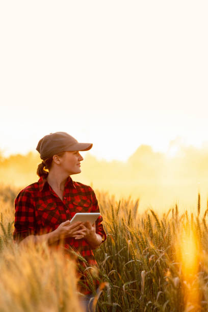 istock Woman farmer with a digital tablet 1294131504