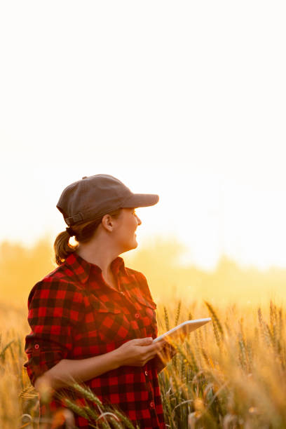 istock Woman farmer with a digital tablet 1294131509