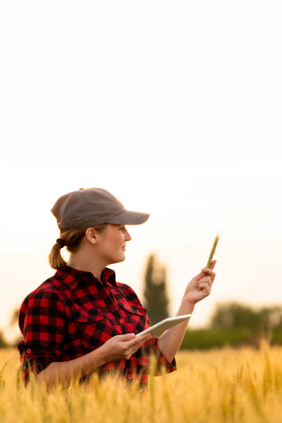 istock Woman farmer with a digital tablet 1294131524