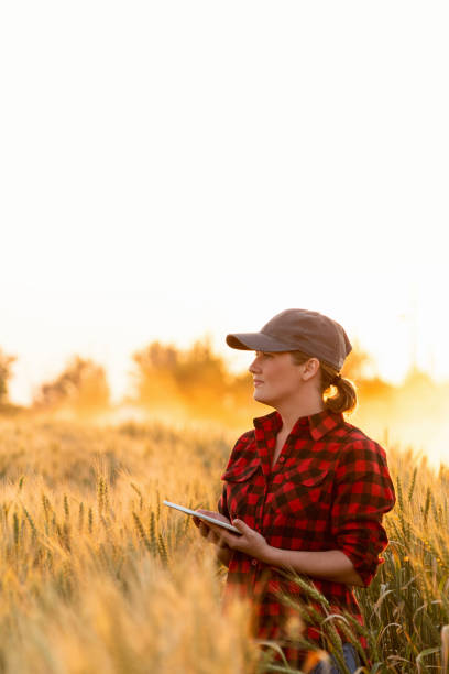 istock Woman farmer with a digital tablet 1294131525