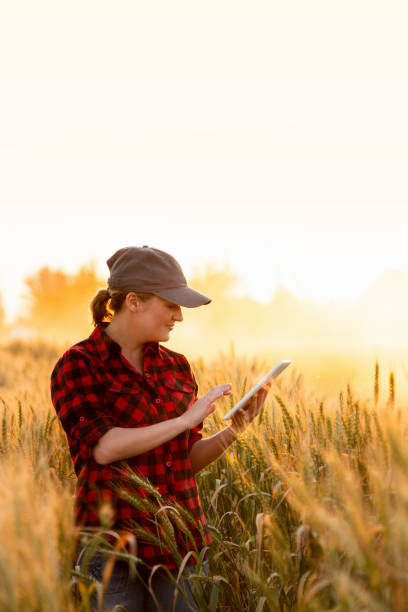 istock Woman farmer with a digital tablet 1294131529