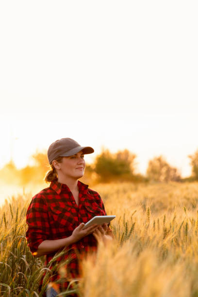 istock Woman farmer with a digital tablet 1294131540