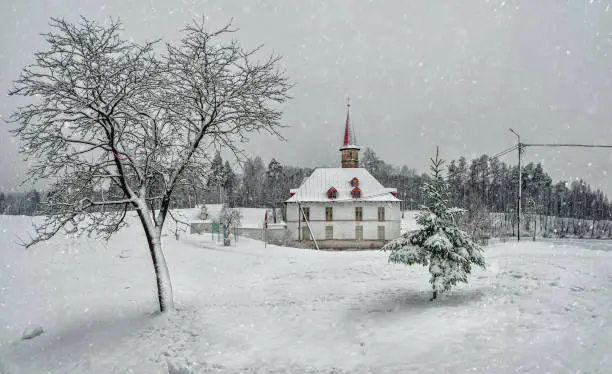 White snowy landscape with old Maltese palace in beautiful natural landscape. Early winter morning. Gatchina. Russia.