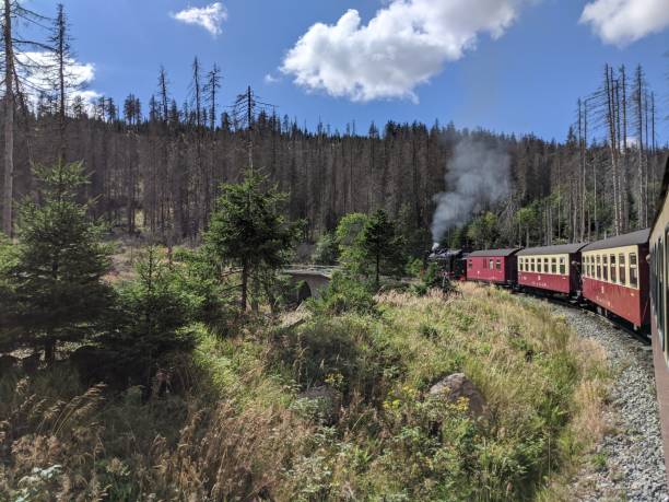 istock Steam Train at the Brocken 1 1294133980