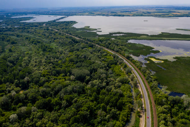 istock aerial view marsh in hungary 1294134789