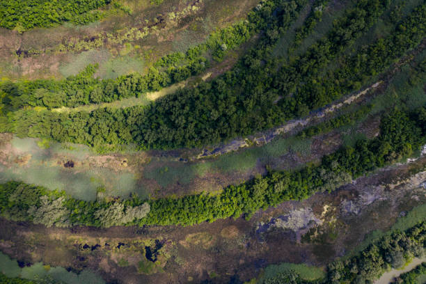 istock aerial view marsh in hungary 1294134827