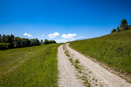 deserted country road in the sun