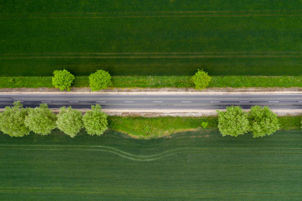 istock top view straight way in summer 1294136751