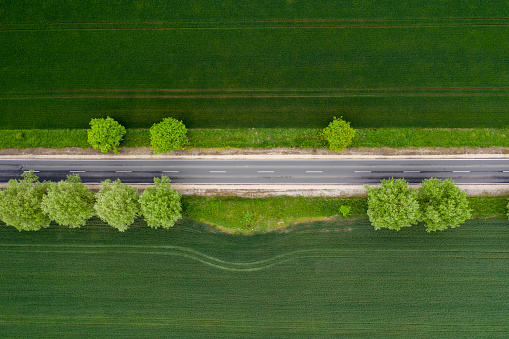 road, drone view, road, nature