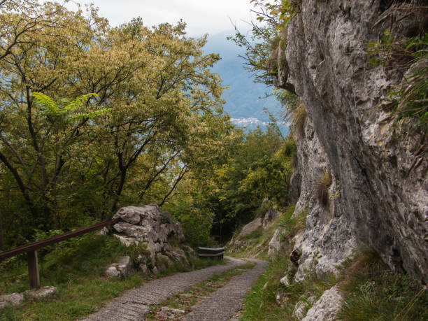 istock steep mountain road between forest and rocks 1294138928