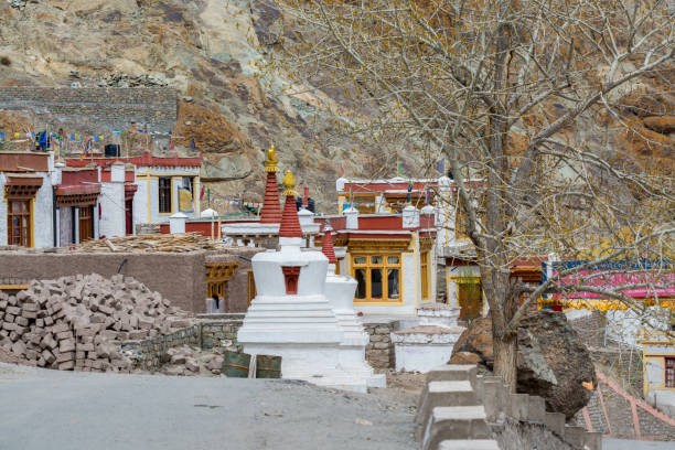 stupas tradicionais tibetanas e aldeia no mosteiro de hemis com fundo de montanhas estéreis em leh, ladakh, jammu e caxemira - tibet monk architecture india - fotografias e filmes do acervo
