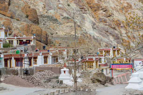 tybetańskie tradycyjne stupy i wioska w klasztorze hemis z tłem jałowych gór w leh, ladakh, dżammu i kaszmirze - tibet monk architecture india zdjęcia i obrazy z banku zdjęć