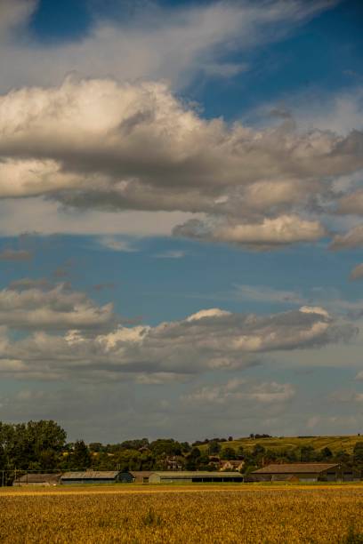 istock field farm agriculture  warwickshire midlands england uk 1294141527