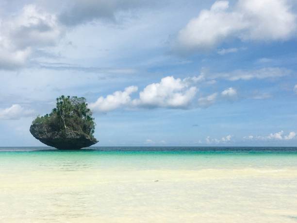 istock The stone as small island 1294144256