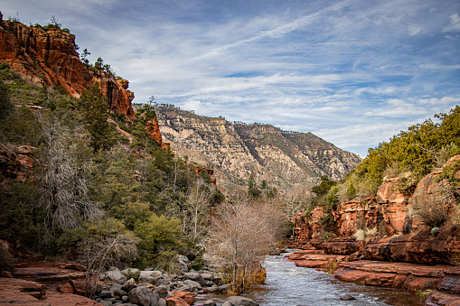 Stream running below the mountains of Red Rock Canyon.
