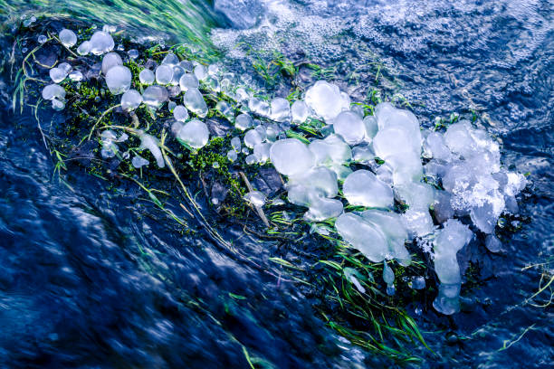 ice on stream in french alps mountain in winter