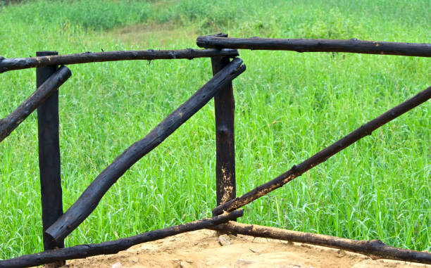 istock Bamboo made protection fence unique photo 1294148330