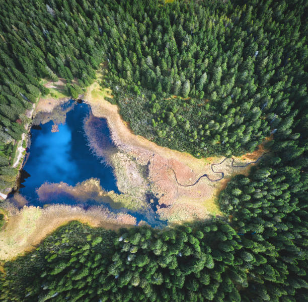 istock Aerial View On Mountain Lake 1294149311