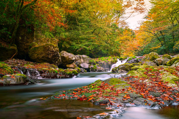 istock Refreshing Kikuchi Gorge in autumn 1294150818
