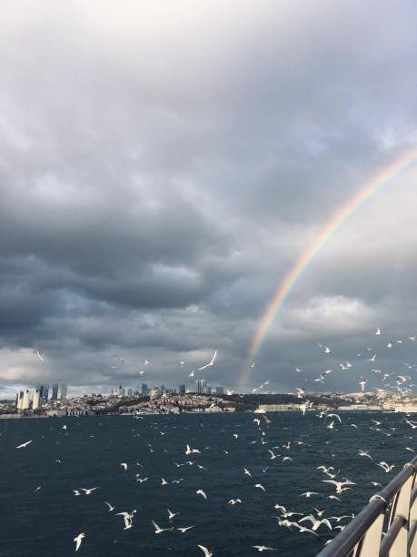 Landscape, in Istanbul.