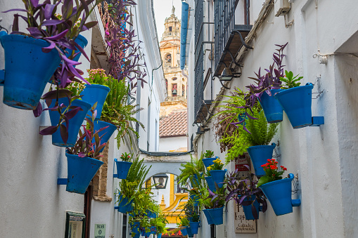 cordoba, Spain. 14th august, 2020: views to colorful streets of cordoba city, Spain