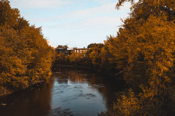 The differing colors of the fall