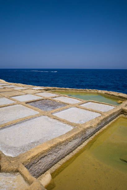 Sustainable lifestyle, food and agriculture in Gozo island in Malta: Still operational natural, historical and traditional production of very ecological sea salt in Zebbug, Gozo Island, Malta dated from the Roman history
