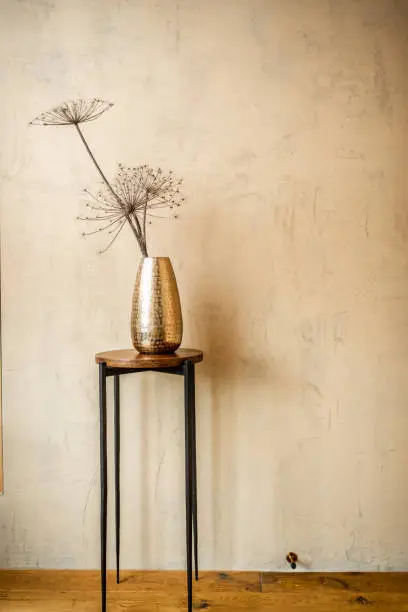 Composition of dried Heracleum plant in a gold vase on a beige wall background