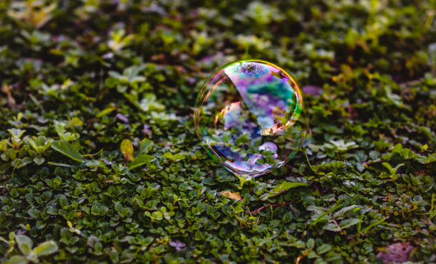 istock Bubble in the garden 1294161891