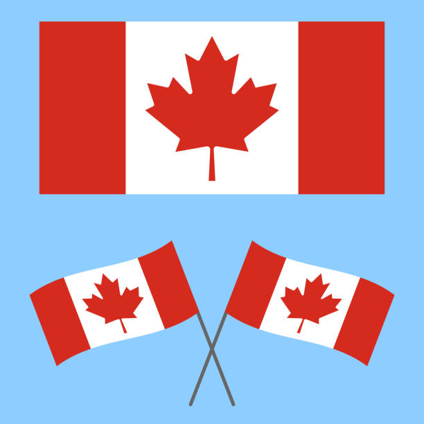 ilustraciones, imágenes clip art, dibujos animados e iconos de stock de bandera de canadá, bandera canadiense - canadian flag illustrations