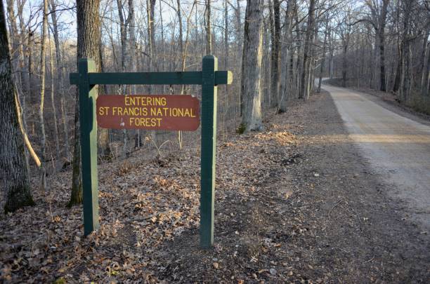 istock Entering St Francis National Forest sign 1294164399