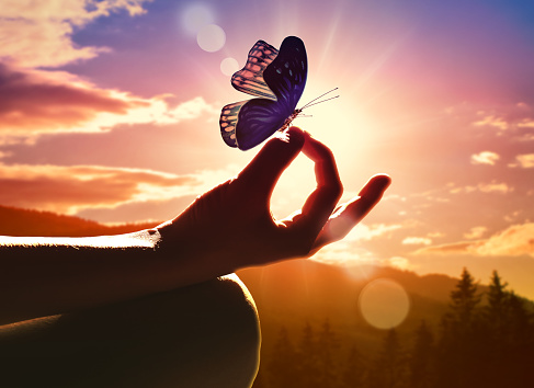 Close up of a hand in a meditation pose and butterfly. Sunset in the mountains.
