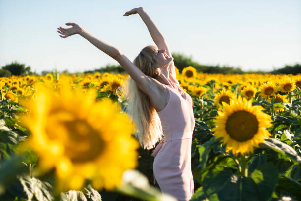 Junge schöne Mädchen in einem Feld von Sonnenblumen – Foto