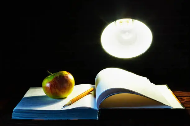 Illuminating notebook desk lamp