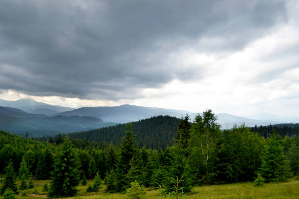 View of the Carpathian mountains, Europe, Ukraine, Vegetation on the mountains, cloudy weather. Image of ecologically clean nature