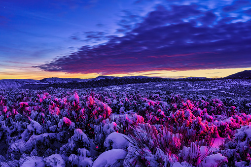 Night Dusk Winter Landscape with Light Painting - Mountain view and meadows of Sagebrush covered with fresh snow with colorful sunset. Flat Tops, Colorado USA.