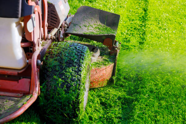 istock Man worker cutting grass in summer with a lawn mower 1294178632
