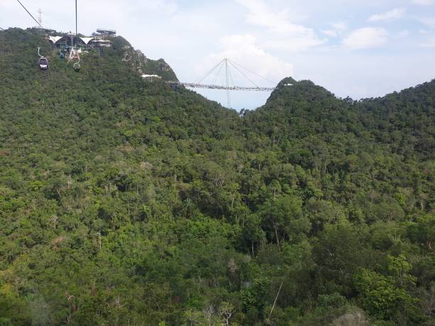 ランカウイのスカイブリッジ - tropical rainforest elevated walkway pulau langkawi malaysia ストックフォトと画像