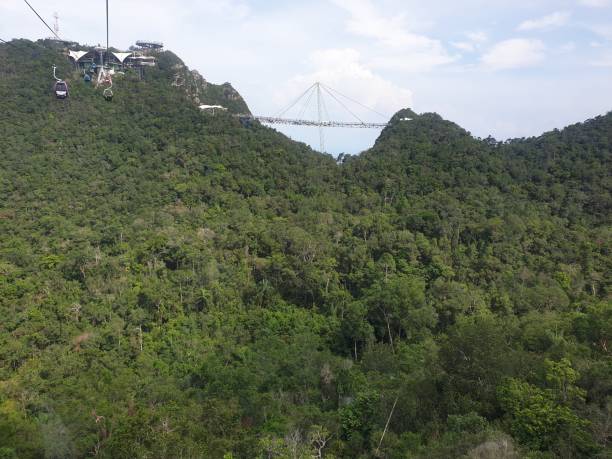 랑카위 스카이 브리지 - tropical rainforest elevated walkway pulau langkawi malaysia 뉴스 사진 이미지
