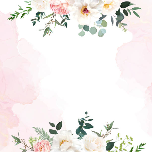 Retro delicate wedding card with pink watercolor texture and flowers Retro delicate wedding card with pink watercolor texture and flowers. White peony, pink ranunculus, dusty rose, eucalyptus, greenery. Floral vector design frame. Elements are isolated and editable frame border backgrounds stock illustrations