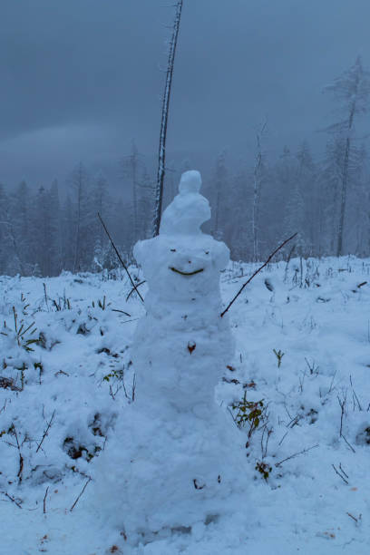 istock Snowman with Hat in Foggy Landscape 1294181906