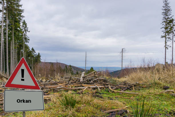 istock Sign Hurricane german 
