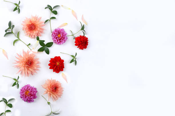 istock Abstract flower composition, spring background, minimal holiday concept, postcard. Congratulations to mothers day, womens day, happy birthday, wedding, place for text, flat lay, 1294183996
