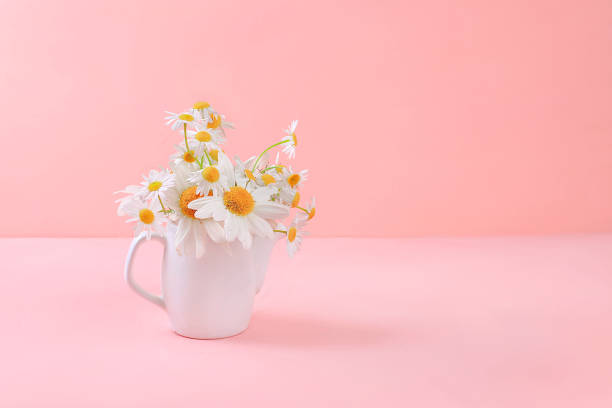 istock Abstract flower composition, spring background, minimal holiday concept, postcard. Congratulations to mothers day, womens day, happy birthday, wedding, place for text, still life, 1294184003
