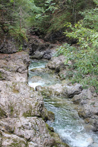 istock Wild river in the Bavarian Alps 1294184073