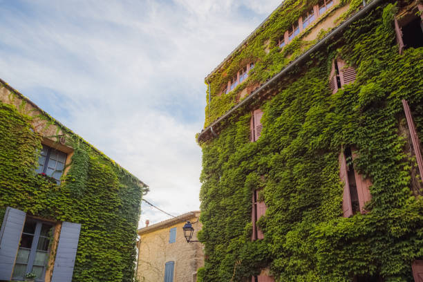 istock Saignon. Provence, France 1294185345