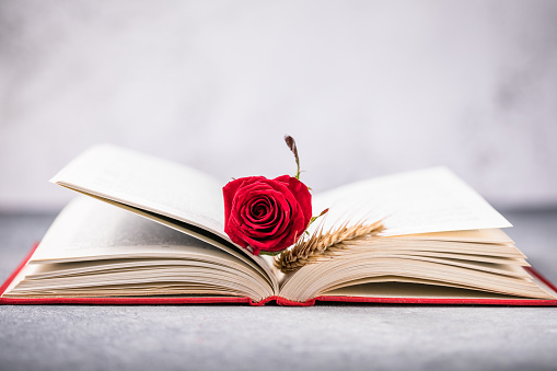 Rose and Book, traditional gift for Sant Jordi, the Saint Georges Day. It is Catalunya's version of Valentine's day