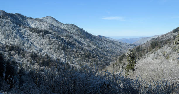 istock Winter in the Great Smoky Mountains 1294195312