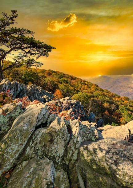 mountain view - shenandoah national park imagens e fotografias de stock